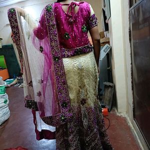 Violet And Gold Choli