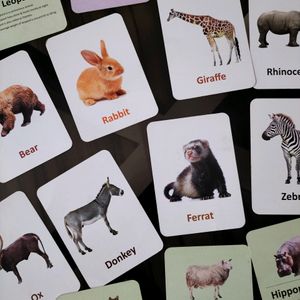 Animal Flashcard Learning 1 To 6 Years