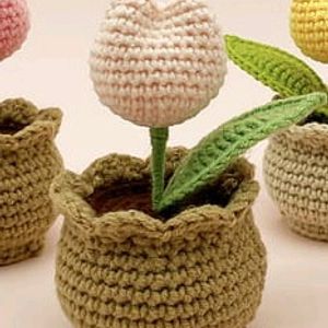 Mini Tulip Pot