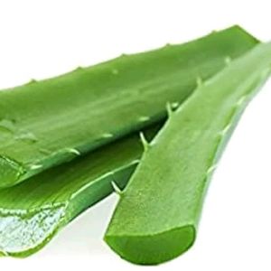 Aloevera Fresh Leaves 500gms