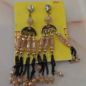 Unused Earrings 6 No.s