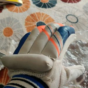 Cricket Hand Gloves