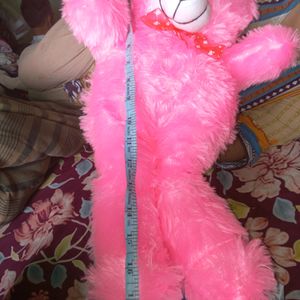 Pink Teddy New