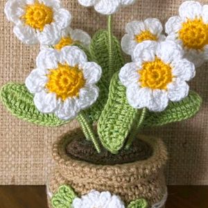 Crochet Flower Pot( 6 Flowe)