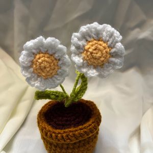 Daisy Pot