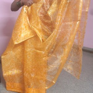 Transparent Saree with Blouse