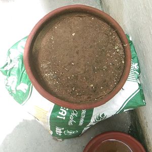 Compost Soil Good For Plants