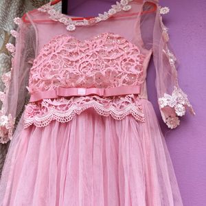 Pink Embroidery Net Gown