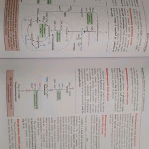 Satyanarayan's Book Of Biochemistry||1st year MBBS