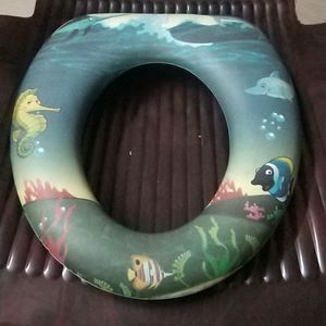 Used Potty Seat For Western Toilets