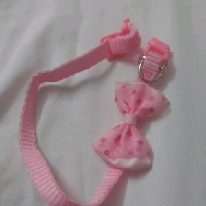 Collar bow For Small Puppy And Kittens