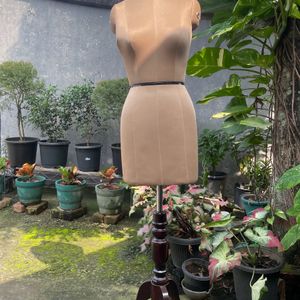 Perfect Mannequin For Your Business