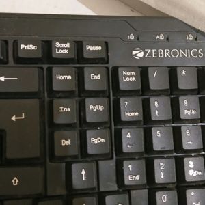 Zebronics Keyboard