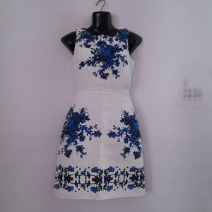 Barbie Dress (Women's)