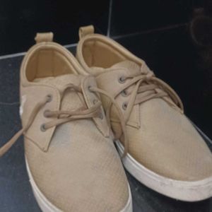 Brown Canvas Shoes