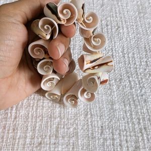 Shell Bracelet From Kanyakumari