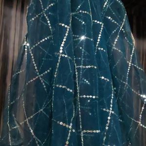 New Sequence Dupatta