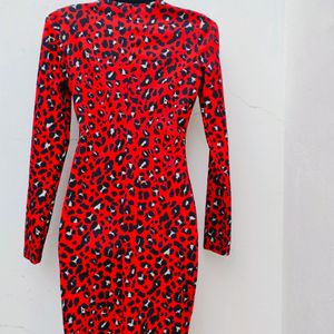 Zara Basic Animal Print Dresss