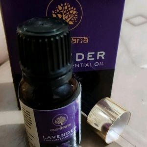 Lavender Oil