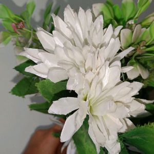 Pink Flower Big Bouquet And White Flowe