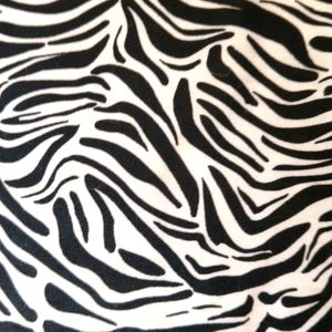 Zebra 🦓 Zapped