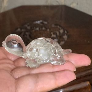 Crystal Tortoise 🐢