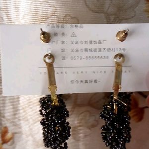 Beautiful Earrings ( 2 Pc set )