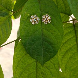 Kundan Earrings