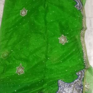 Very Beautfull Parrot Green Net Saree