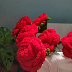 Crochet Rose Bouquet 💐