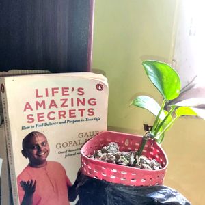 LIFE AMAZING SECRETS - By Gaur Gopal Das