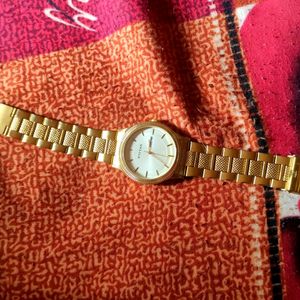 Titan Analog Watch Gold Case