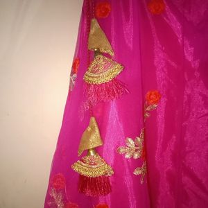 Crop Top Lehenga