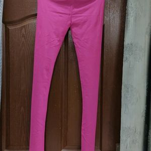 Legging(34)