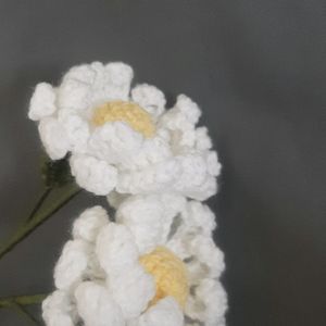 Large Double Layer Crochet Daisy Flowers