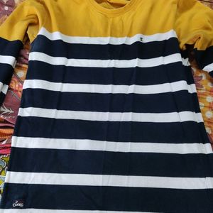 Men Striped Full Sleeves Tshirt