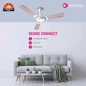 New Ottomate Bldc With Remote Speed Fan Pink