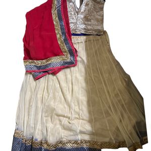 Beige Lehenga Choli