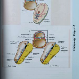 ANATOMY COMPLETE Book (Notebook + MCQ)