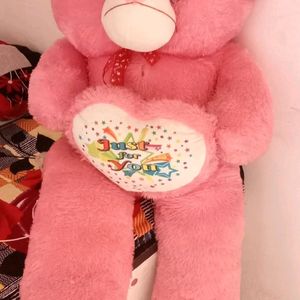 New Brand Teddy Bear In Light Weight