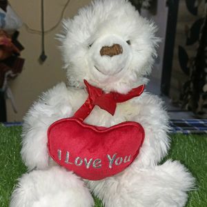 White Teddy Soft Toys