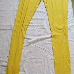 Yellow Colour Legging