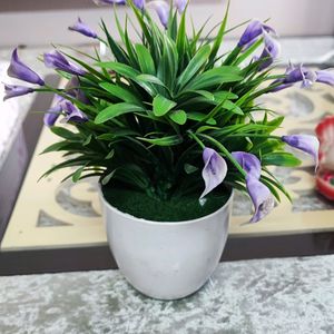 (Diwali Sale🪔) Artificial Plant💜+ FREE Gift