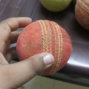 Sg Professional Cricket Ball