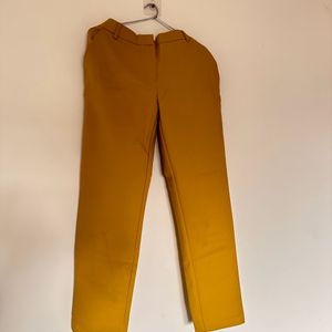 Mustard Yellow Formal Trousers