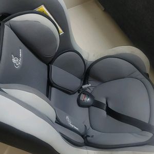 R For rabbit Car Seat