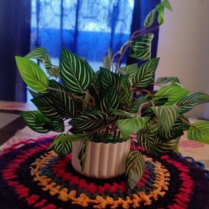 New Artificial Croton Plants With Pot ❤️