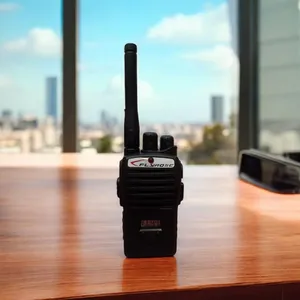 Walkie Talkie