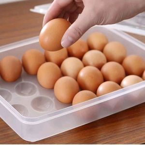 Egg Tray For 24