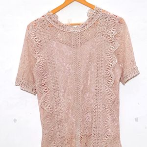 VANSA Lace Short Sleeves Top